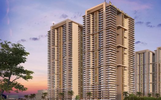 Marbella Royce Mohali