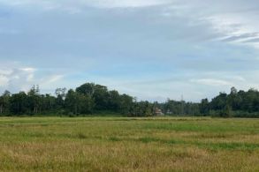 plot