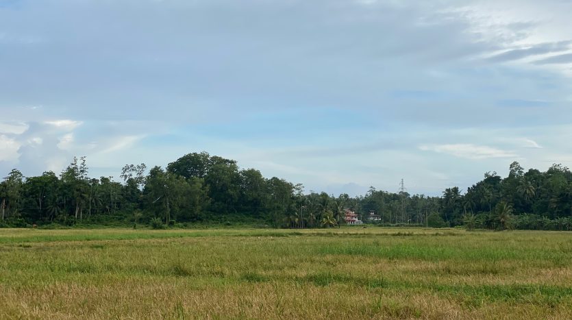 Plot for sale
